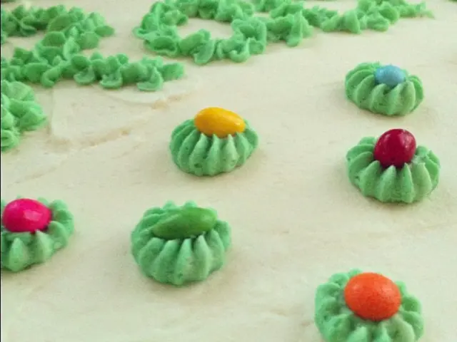 Rosacea: Its Varieties, Underlying Reasons, Manifestations, and Alleviations