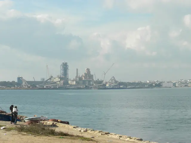 Tech Sector: Teresa Born, Female Pioneer in Technology