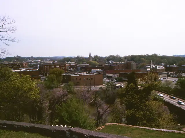 Cities address intense heat through tree canopies and green rooftops.
