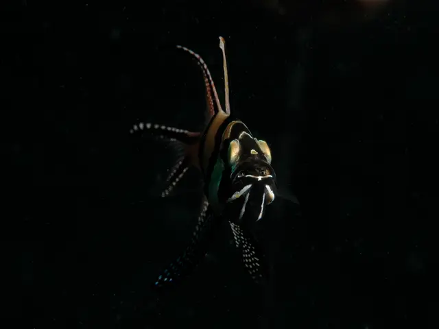 Skin benefits of fish oil: Advantages for dry skin, acne, and further improvements