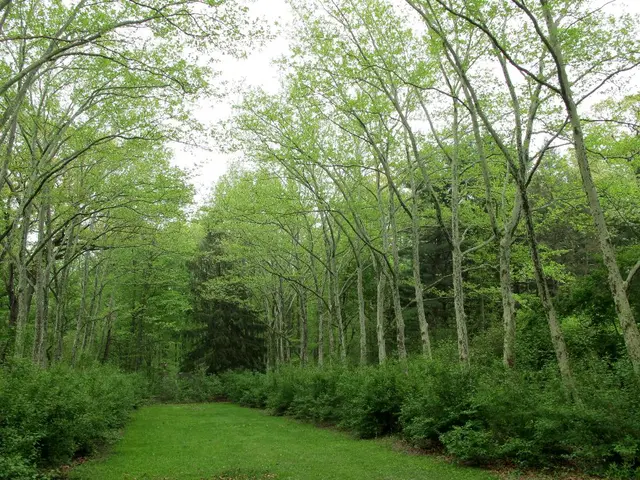 Achievements and challenges in enhancing species diversity through the concept of biodiversity net...