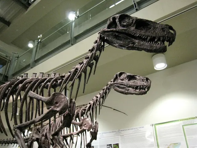 Marine reptile flippers from the dinosaur era may hold the key to reducing noise pollution in...
