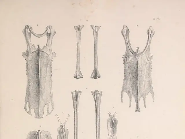 A case of COVID-19 has unexpectedly surfaced.