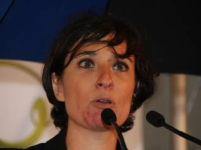 Criticism from Malte Spitz over the handling of individuals with stuttering issues in Germany