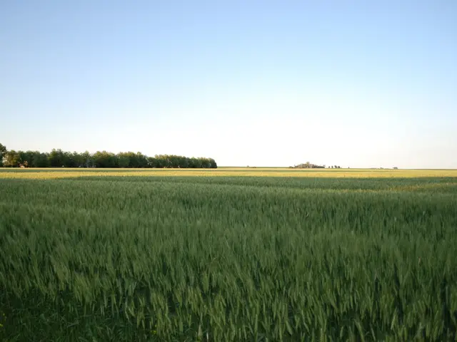 Wetland images showcased as winners in Greenstorm's exhibition, emphasizing their breathtaking...