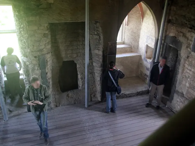 Uncovered Ancient Finger Marks in an Australian Cave Reveal Early Indigenous Rituals