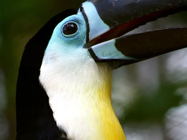 Exploring the Allure and Enigma of Black Creatures: Significance, Survival Strategies, and Variety...