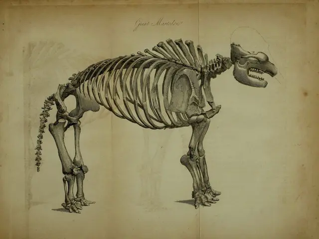 Bioprinting in 3D decreases the need for animal testing