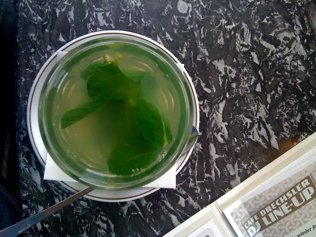 Exploring the Merry Mint Table-Top Garden by Gardenuity