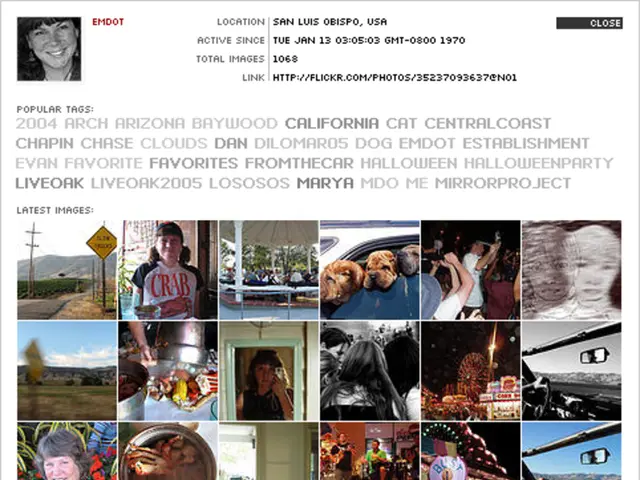 Human Perception Classified: An Examination of Eight Categorical Approaches and Their Functionality