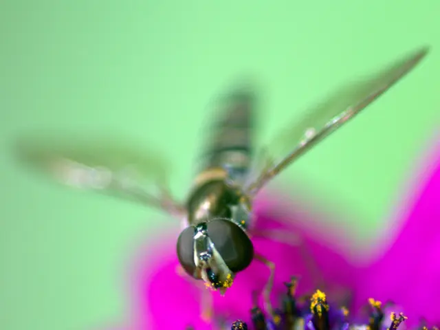 Artificial Intelligence Revolutionizes Weather Service's Pollen Monitoring Methods