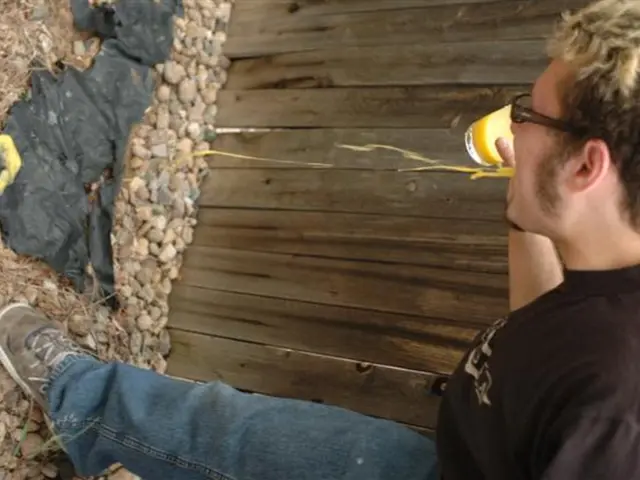 Exploring Episodes of Vomiting: Reasons, Prescriptions, Therapies, and Beyond