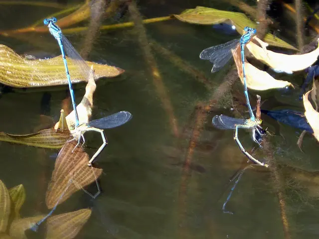 Rising temperatures fuel an increase in methane emissions from wetlands