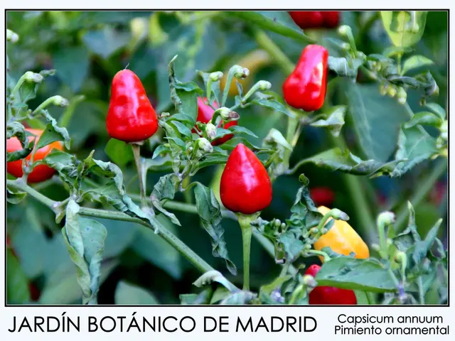 European Perspective: Emergence of a Novel Category of Biopesticides and the Pace of EU Regulatory...