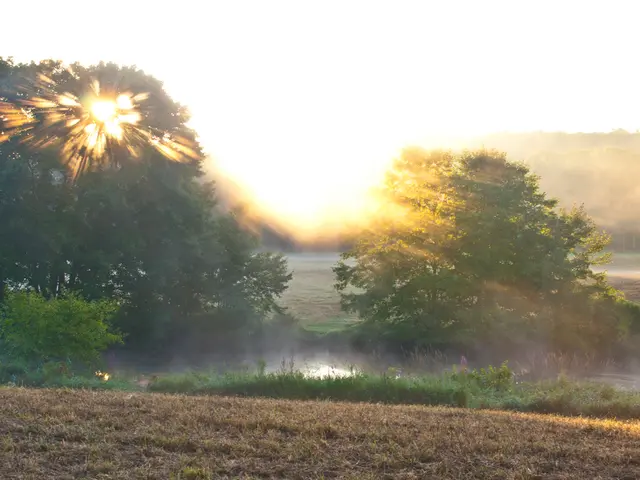 Earth's Ecosystems: Their Role in Providing Nourishment for Humankind
