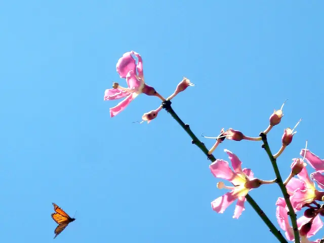 Darzalex Faspro and Its Potential Adverse Reactions: Strategies for Minimizing Inconveniences