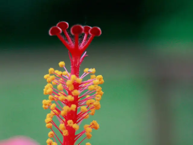 Establishes Nationwide Network of Autonomous Pollinator Systems