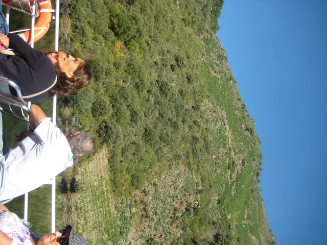 Complications of Acute Myeloid Leukemia: A Combined Physical and Mental Struggle