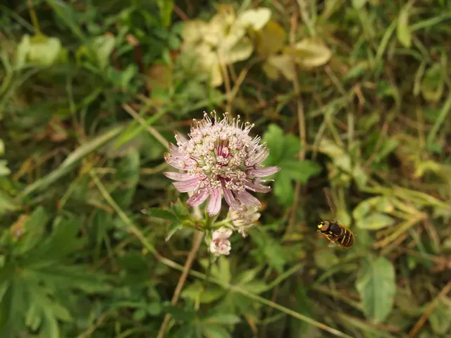 Pressure mounts on the Constitutional Council as they consider the Duplomb law, estimations of...