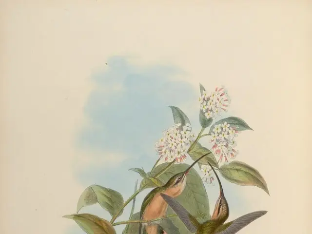 Unveiled Findings: Birds Employ Distinct Sounds for Unexpected Purposes, Reveals Research