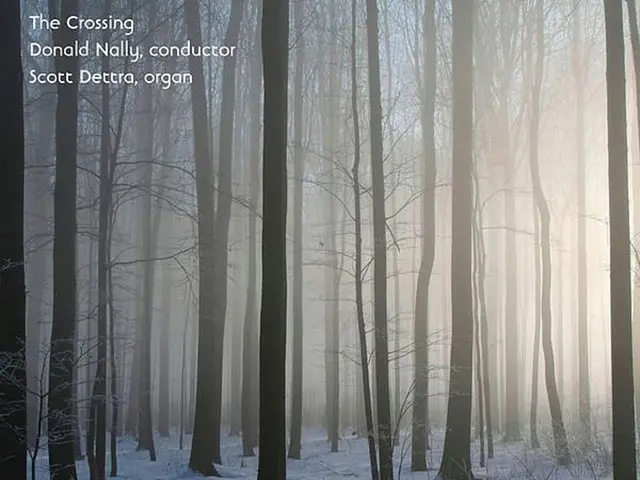 Forests of Greece's Highlands Threatened: Increasing Heat and Disappearing Snow Wreak Havoc