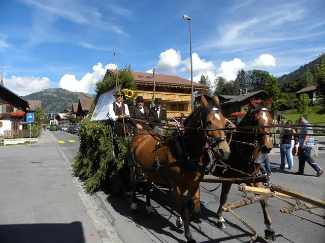 Revisiting the Analysis of Survival: Crafting Models for Survival Curve Generation