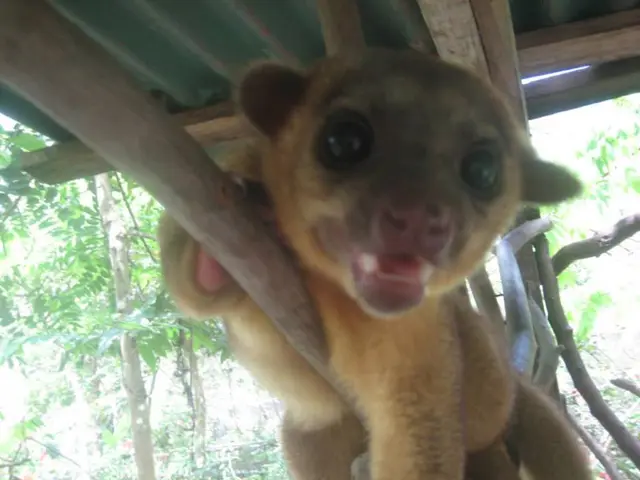 Unclear statement ahead: User in doubt about expressing themselves.