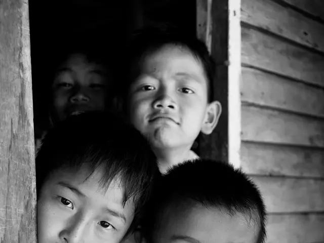 Calcified Skin Lesions: Characteristics, origins, and management strategies