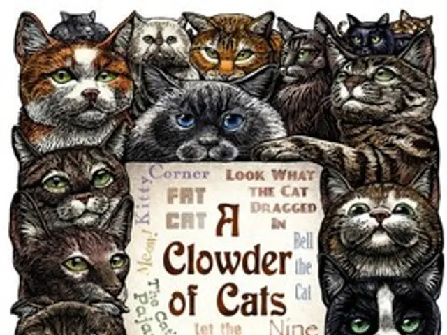 Bonobo Kanzi, aged 39, gained fame for his proficient use of linguistic symbols, with an estimated...