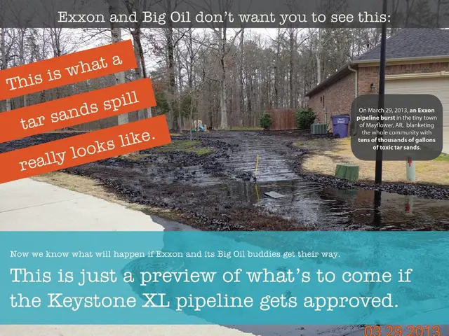 Indigenous Tribes: A Comprehensive Review