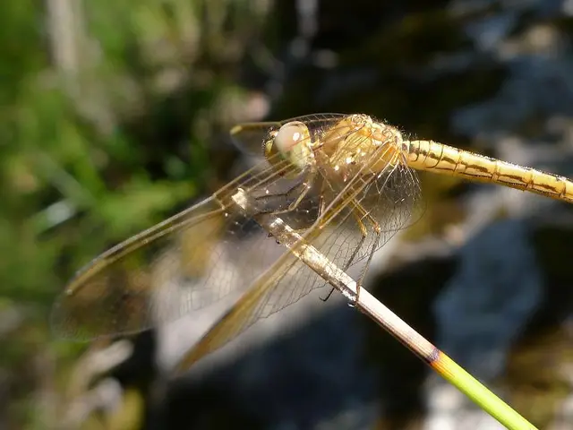 Late-night coffee consumption may heighten impulsivity and risk-taking behavior.