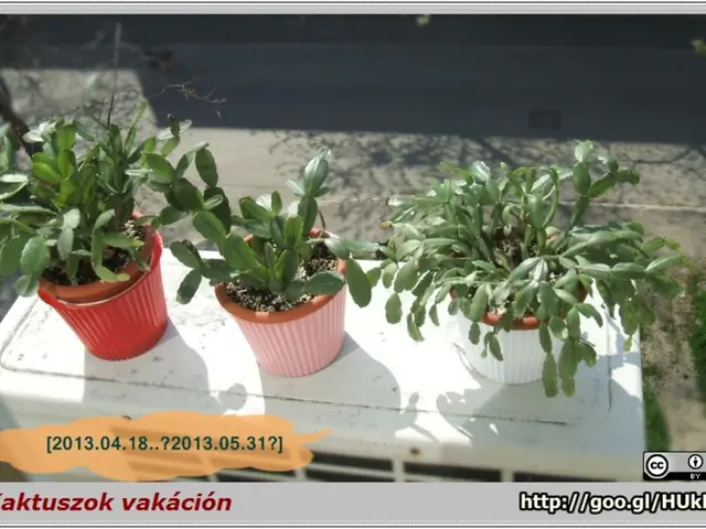 Job Opening in ICAR-IARI, New Delhi for Young Professional-II (YP-II) Position