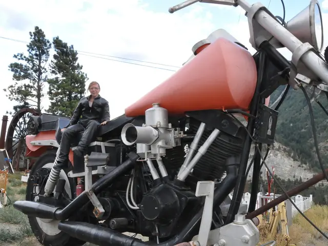 Pursuit of Prolonged and Enhanced Wellness: A Journey Towards a Longer, More Nutritious Existence