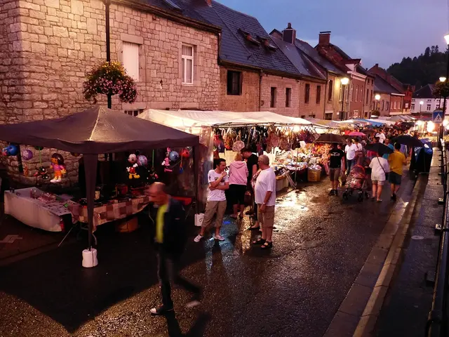 Public funding recipients should avoid promoting gender issues, according to Weimer's perspective.