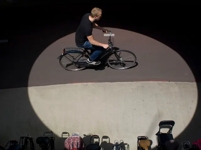 Ovulation Forecasting Tools (OFTs)