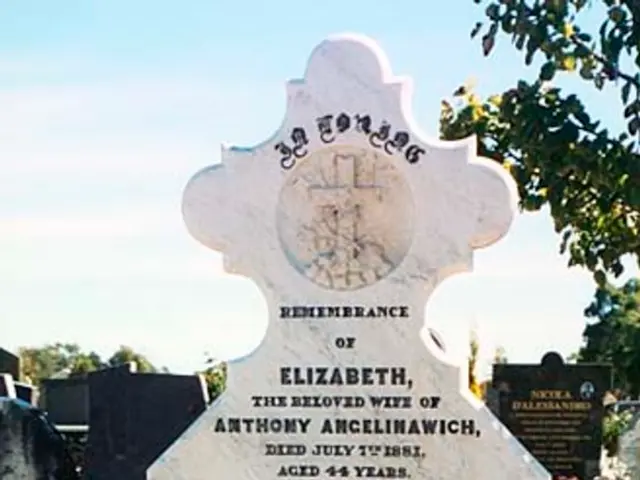 Is My Memory Lapse a Result of Aging Process or Alzheimer's Disease?