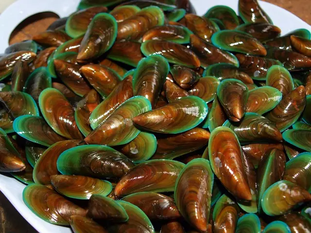 Experience Menstruation with Minimal Hassle Due to Leakproof Undergarments