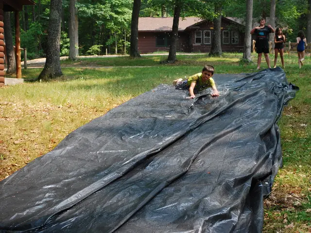 Assistance Provided for Disadvantaged Minors with Disabilities in Kamchatka Region at No Cost