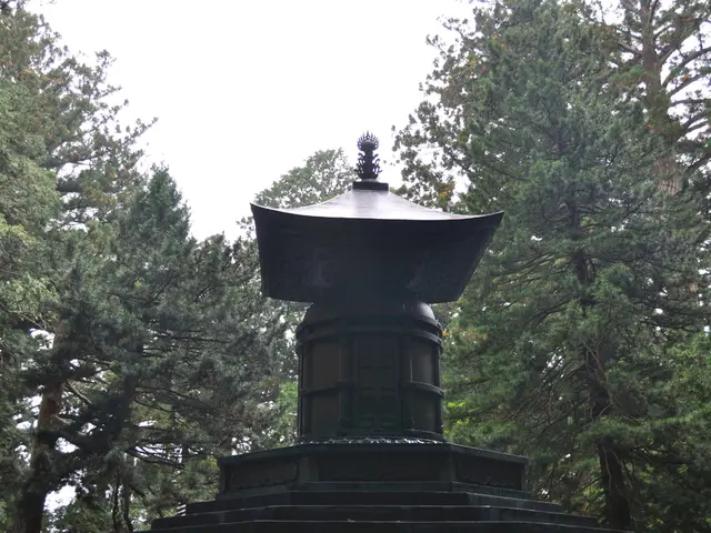 Tragic loss: British Columbia man memorializes spouse and infant child who perished under fallen...