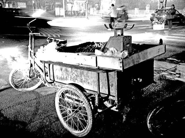 Ex-President Wulff navigates a rickshaw to combat solitude