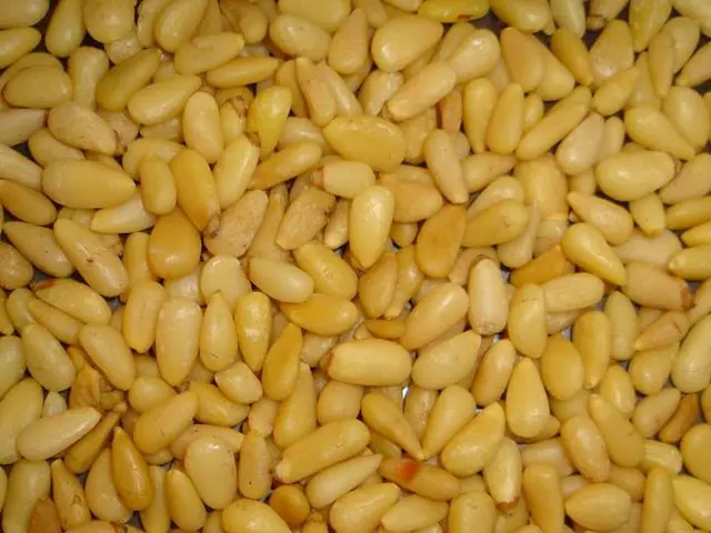 Nuclear catastrophe imminent