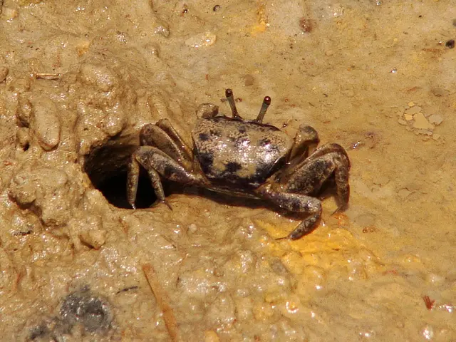 Seven Most Demanding Professions Globally Speak