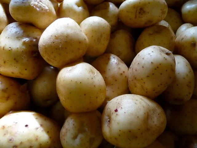 Potential Connection between Consuming Potatoes and Incidence of Type 2 Diabetes - Exploring...