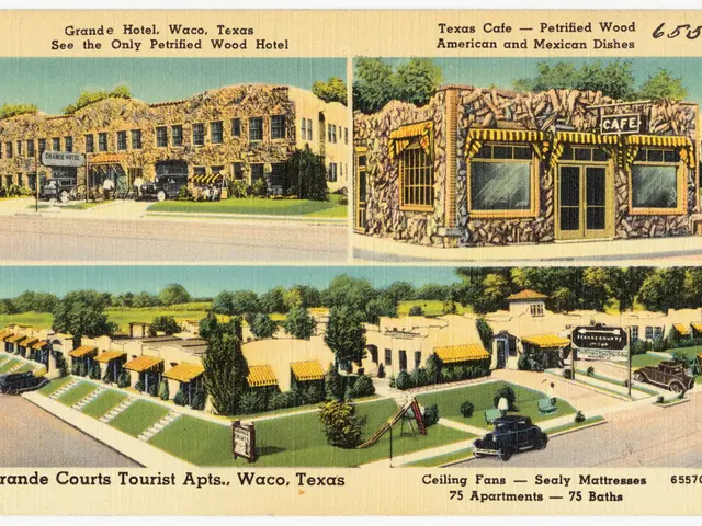 India's female trailblazer, Zeenat Kureshi, has assumed the illustrious title of GCC-India Trade...