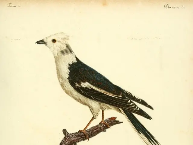 Author and Sara Walker discuss Life's Most Notable Innovations