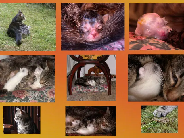 Workers in Lippe district encouraged to join agricultural job research