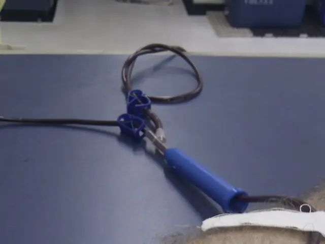 Scientists Employing Magnets to Aid Bodily Healing: An Overview