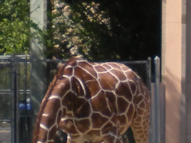 Here's your vegan-friendly headline: Prepare for Veganuary by Boosting Your Vegetable Intake!