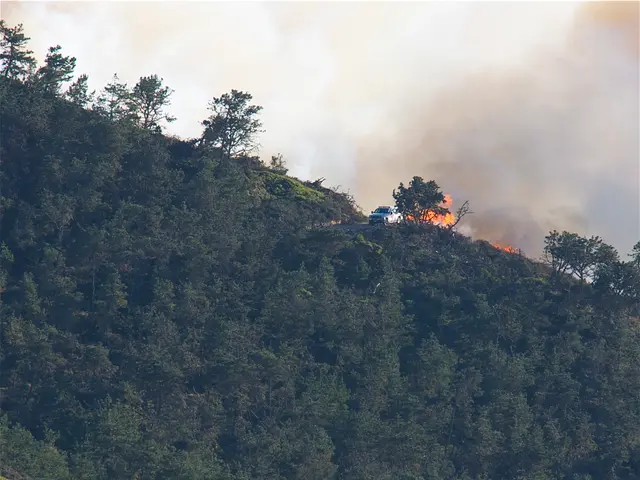 Fire in Mirandela residence resulted in six elderly fatalities, despite the lack of activation of...