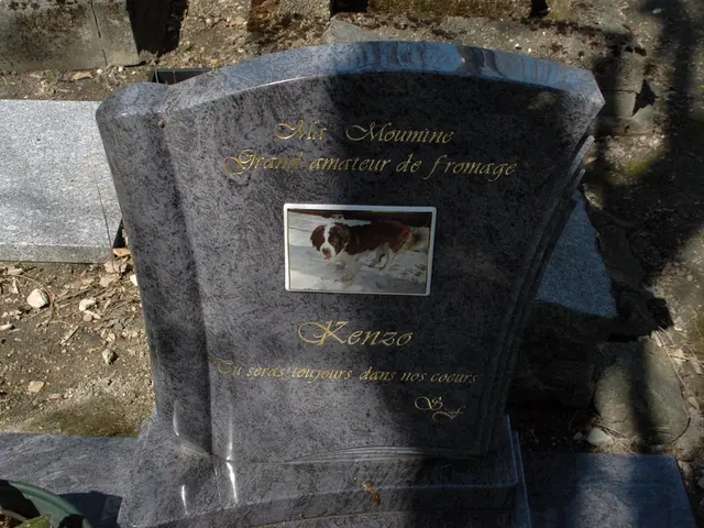 Sensenmann's Interpretation: The Significance of the Apparition and Its Delivered Messages